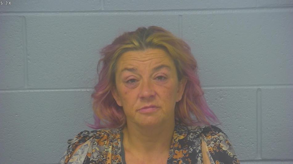 Arrest photo of MICHELLE FINLEY