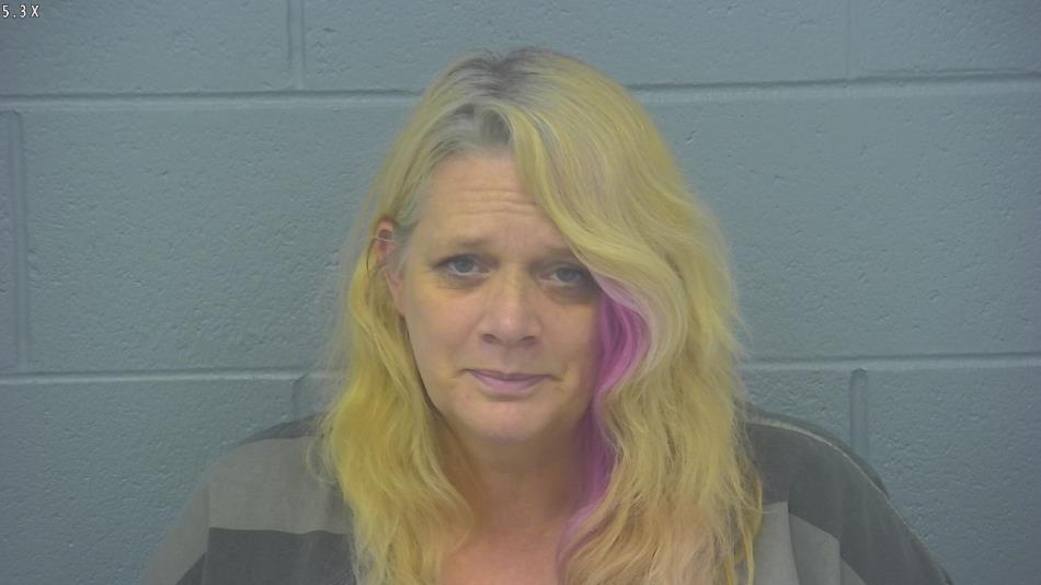 Arrest photo of MICHELLE STEVENS