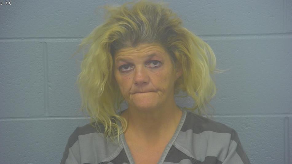 Arrest photo of MICHELLE RICE