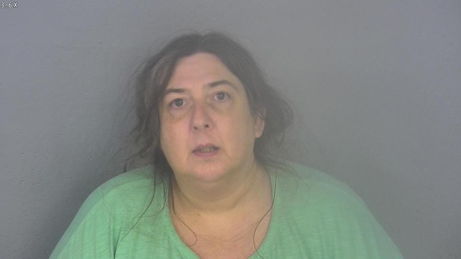 Arrest photo of MICHELLE BERRY