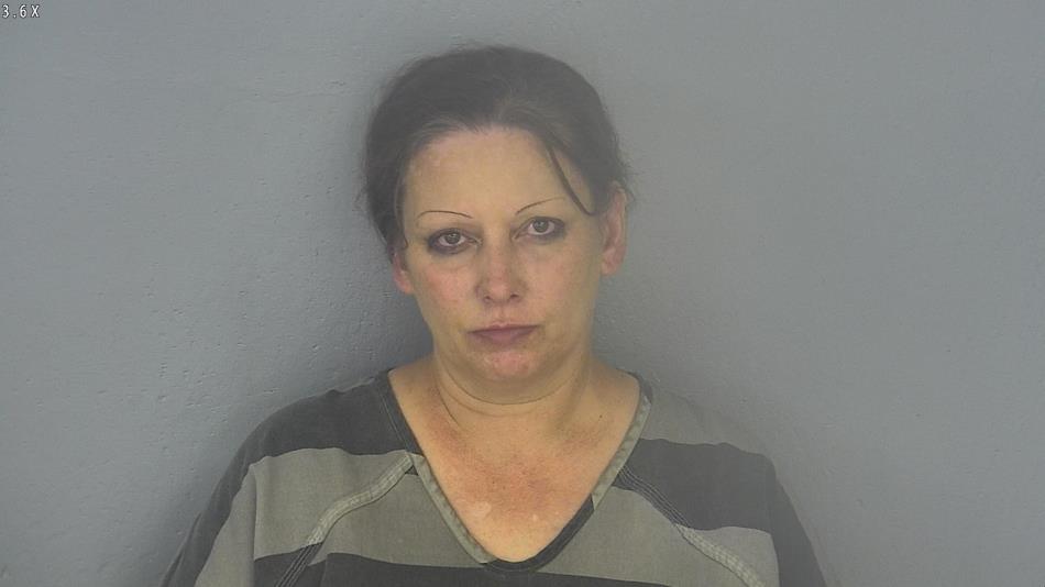 Arrest photo of MICHELLE BLANKS