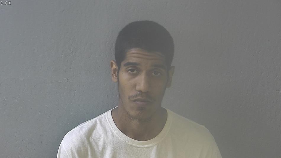 Arrest photo of MIKAEL CARTER