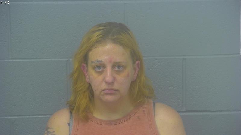 Arrest Photo of MIKAYLA BINGHAM, arrested on 10/20/2025