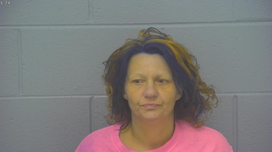 Arrest photo of MINDY JOHNSON