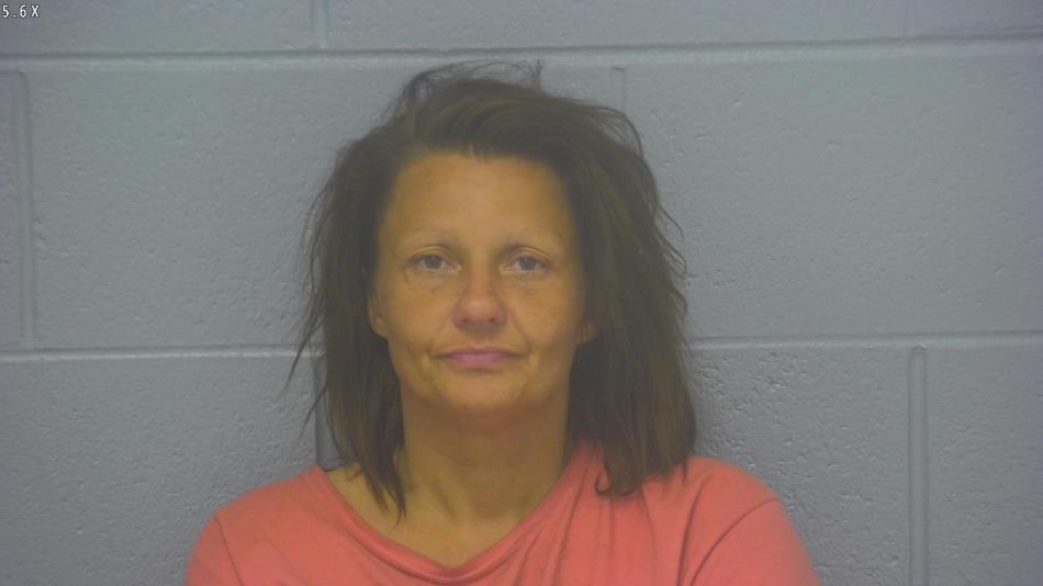 Arrest photo of MINDY JOHNSON