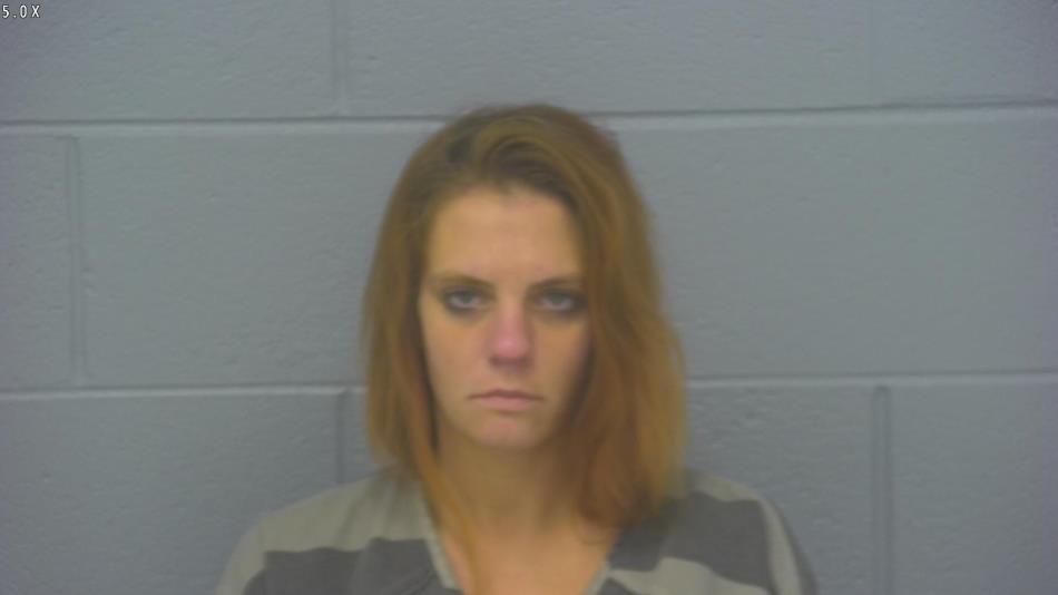 Arrest photo of MIRANDA ASHER