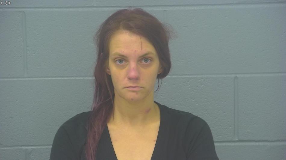 Arrest photo of MIRANDA ASHER