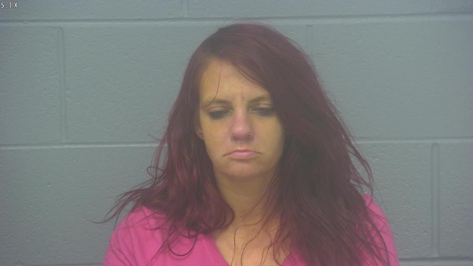 Arrest photo of MIRANDA ASHER