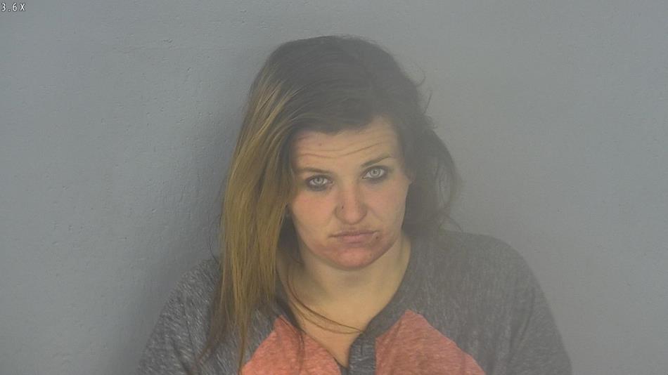 Arrest photo of MIRANDA GINNER