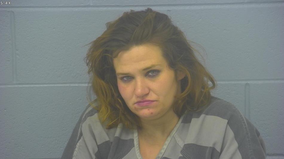 Arrest photo of MIRANDA GINNER