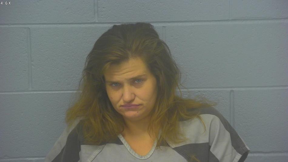 Arrest photo of MIRANDA GINNER