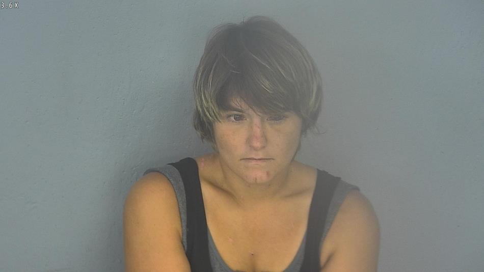Arrest photo of MIRANDA ABRISZ