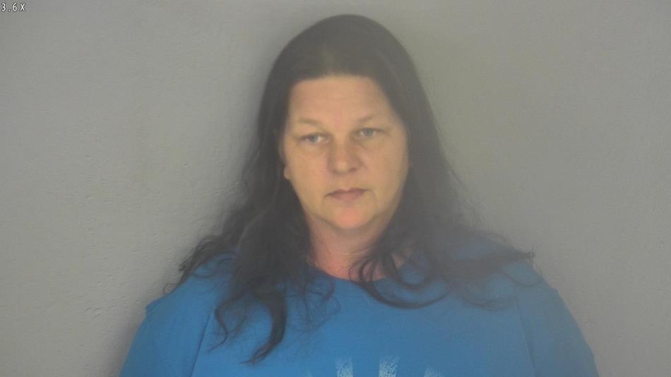 Arrest photo of MISTY MINOR