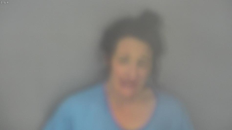 Arrest photo of MISTY PHILLIPS