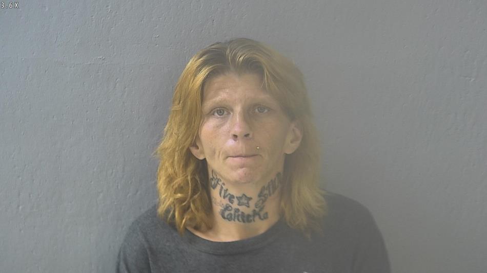 Arrest photo of MISTY SHAHAN
