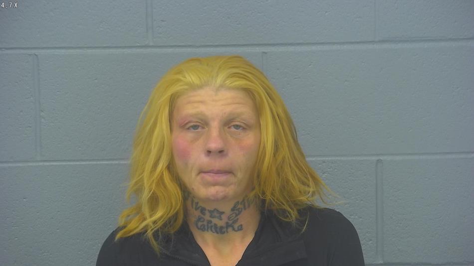 Arrest photo of MISTY SHAHAN