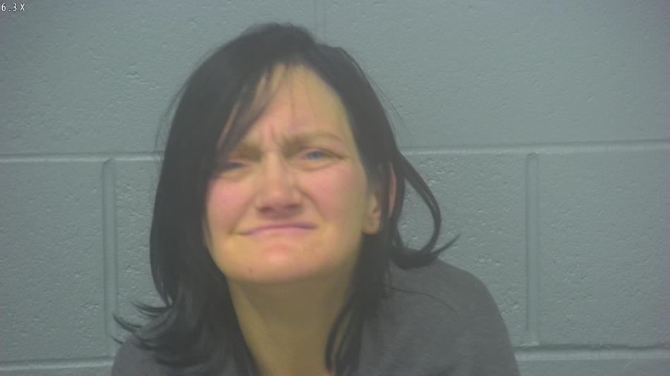 Arrest photo of MISTY SIEK