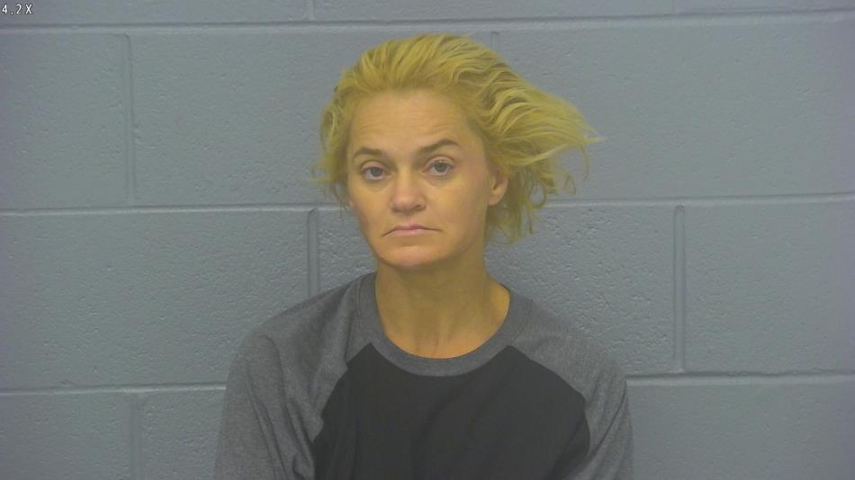 Arrest photo of MISTY FIPPS