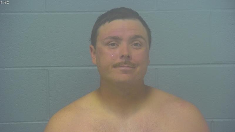 Arrest photo of MITCHELL CHILTON