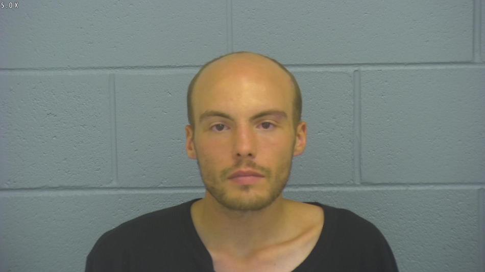 Arrest photo of MITCHELL HARVEY