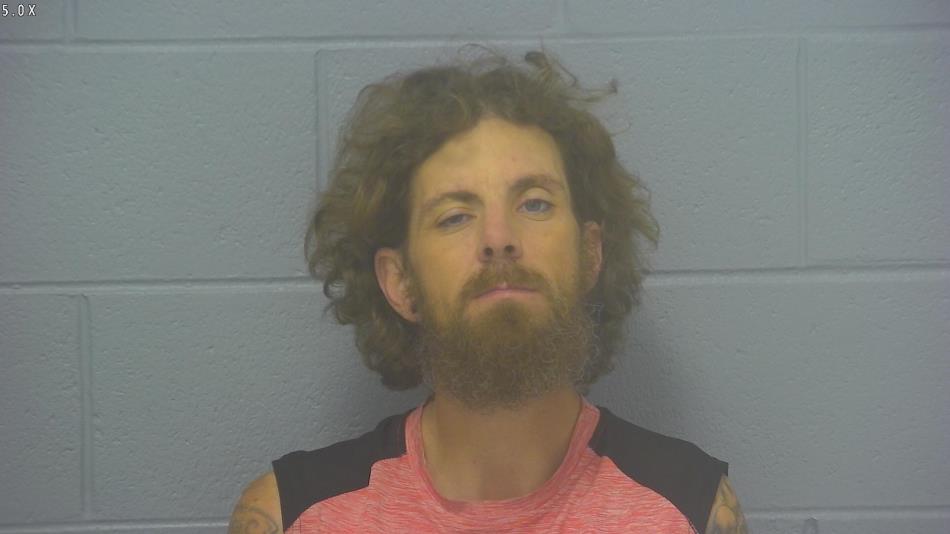 Arrest photo of MITCHELL GAMBOW