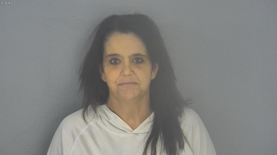 Arrest photo of MITZIE CLAUSER
