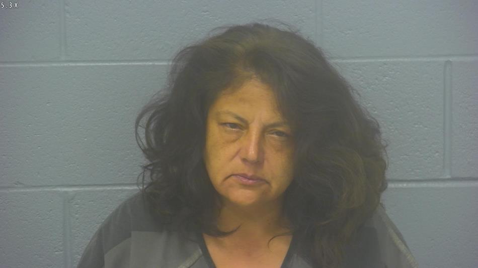 Arrest Photo of MONA CASTILLO, arrested on 4/7/2024