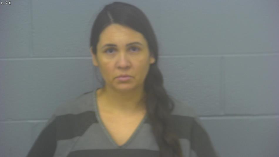 Arrest photo of MONICA LOPEZ