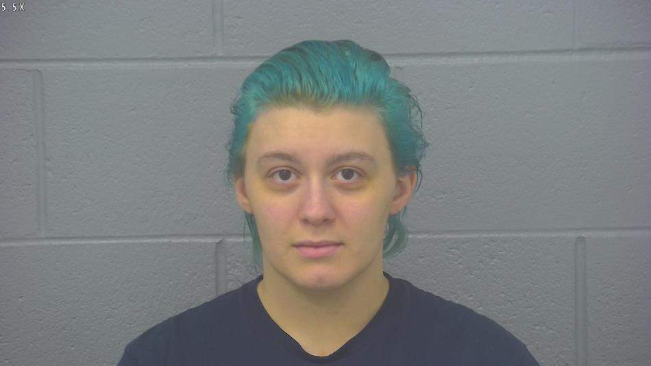 Arrest photo of MONTANA SWADLEY