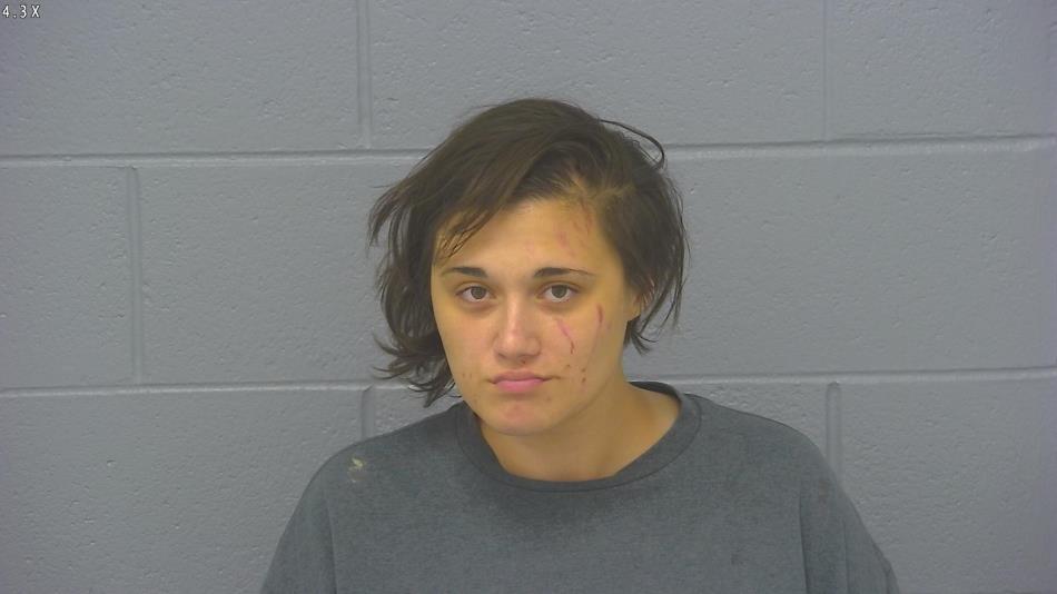 Arrest photo of MORGAN HORNBUCKLE