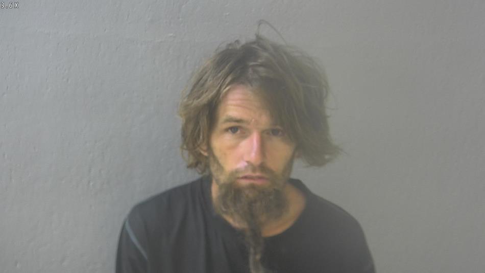 Arrest photo of MORGAN LITTY