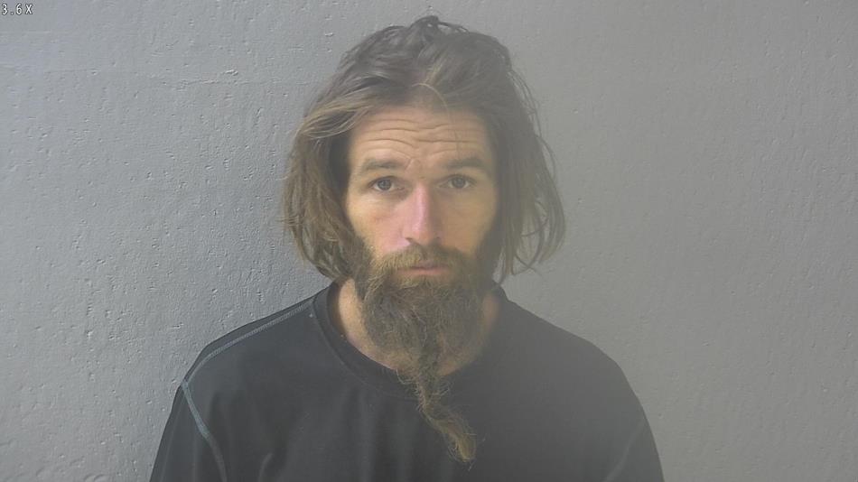 Arrest photo of MORGAN LITTY