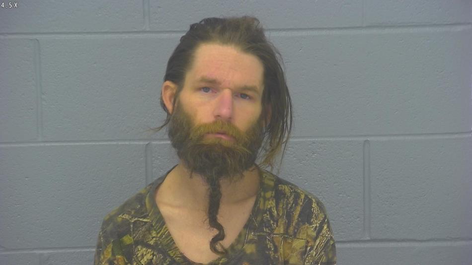 Arrest photo of MORGAN LITTY