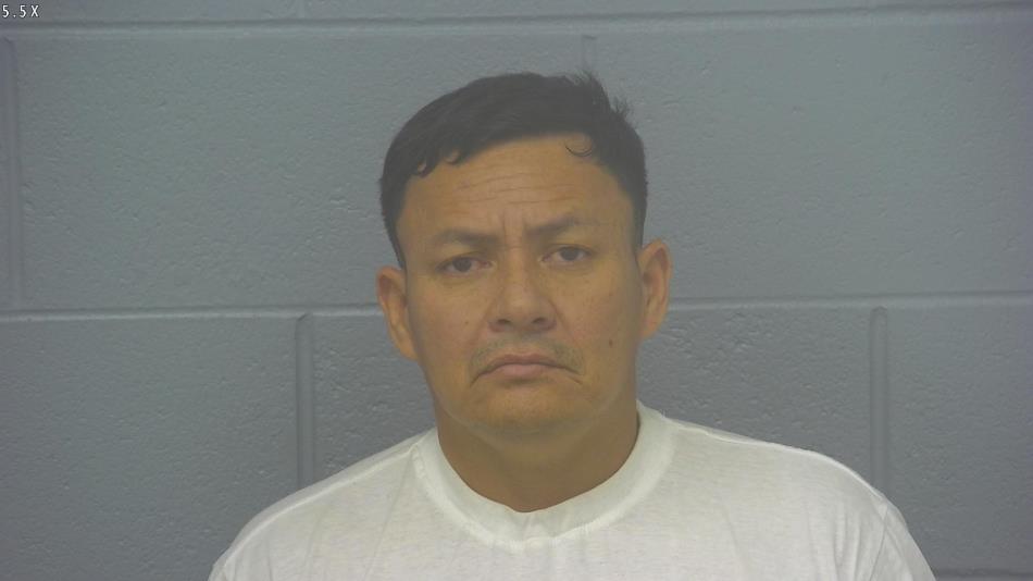 Arrest photo of MORGAN QUISPE