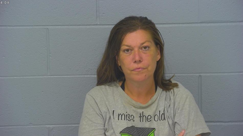 Arrest photo of NANCY DODSON