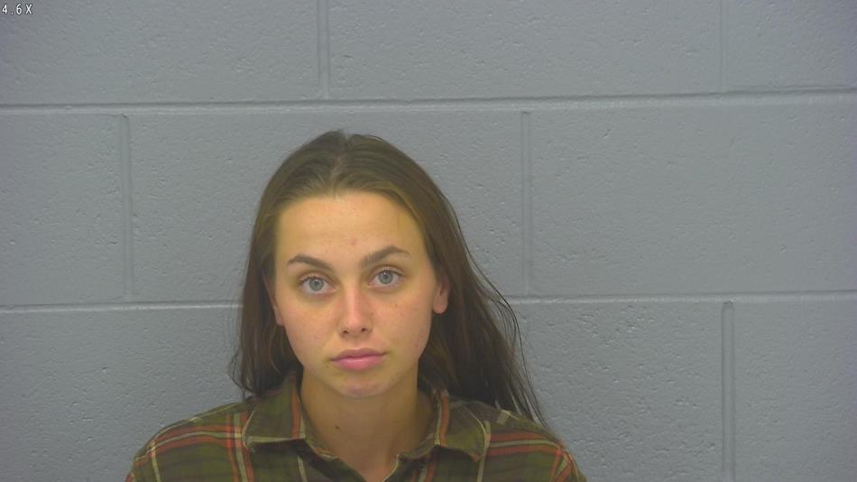 Arrest photo of NATALIE JOHNSON