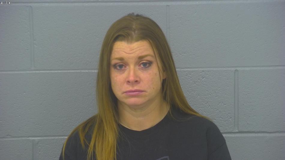 Arrest photo of NATASHA LEWIS