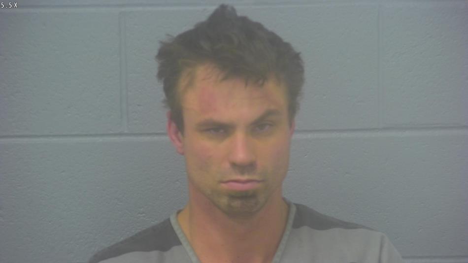 Arrest photo of NATHAN MARTIN