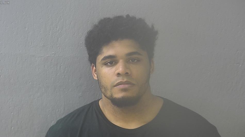Arrest photo of NATHAN WILLIAMS