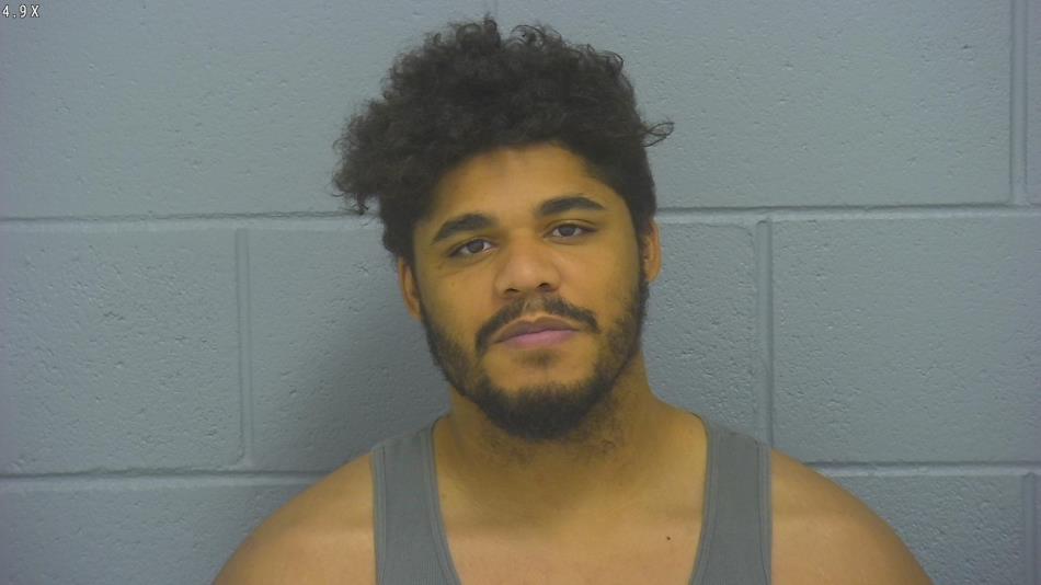 Arrest photo of NATHAN WILLIAMS