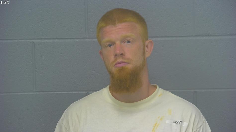 Arrest photo of NATHAN ALLEN