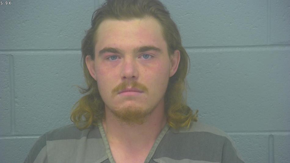 Arrest photo of NATHAN ELMORE