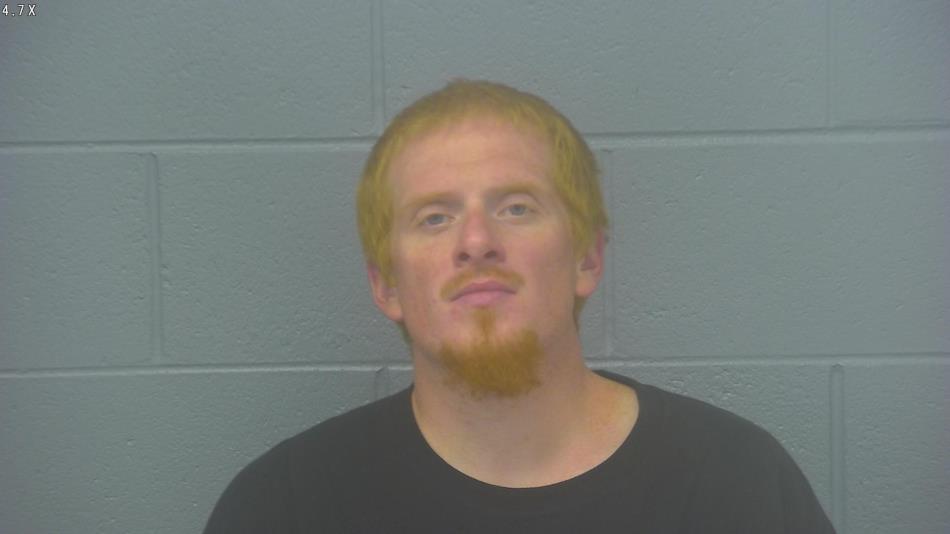 Arrest photo of NATHAN ROBERTS