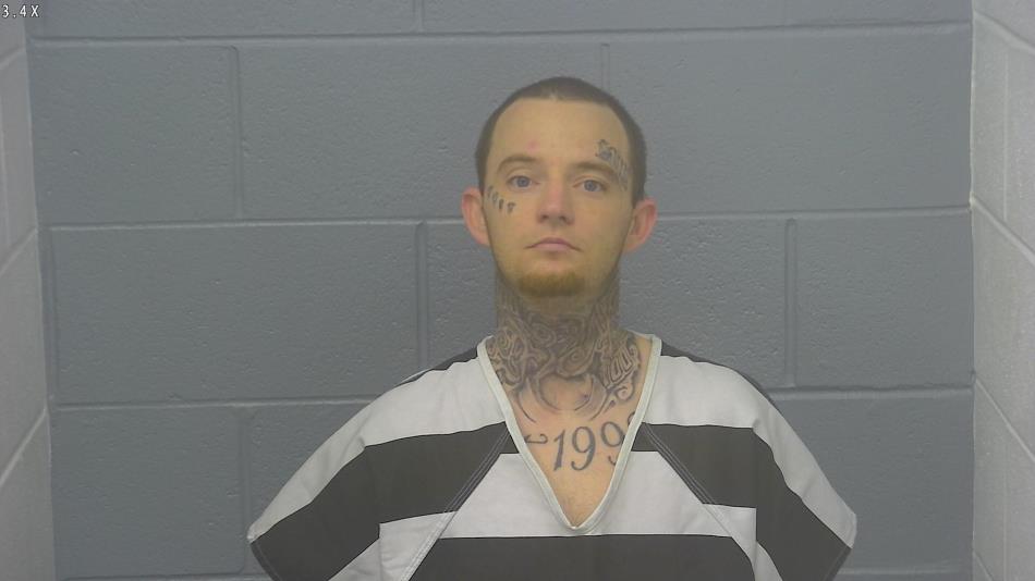 Arrest photo of NATHAN  REEVES