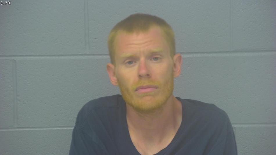 Arrest photo of NATHAN DRISKILL