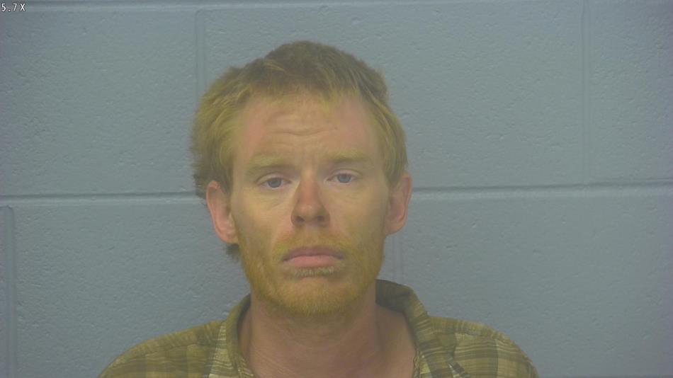 Arrest photo of NATHAN DRISKILL