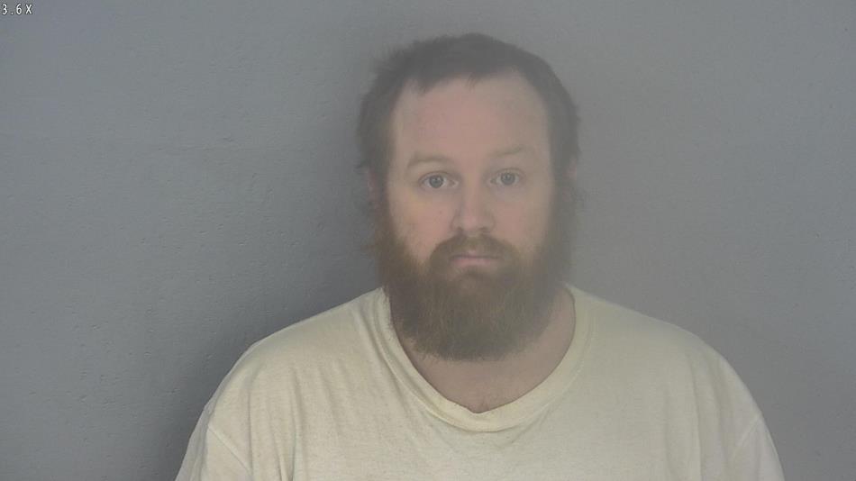 Arrest photo of NATHAN MCELROY