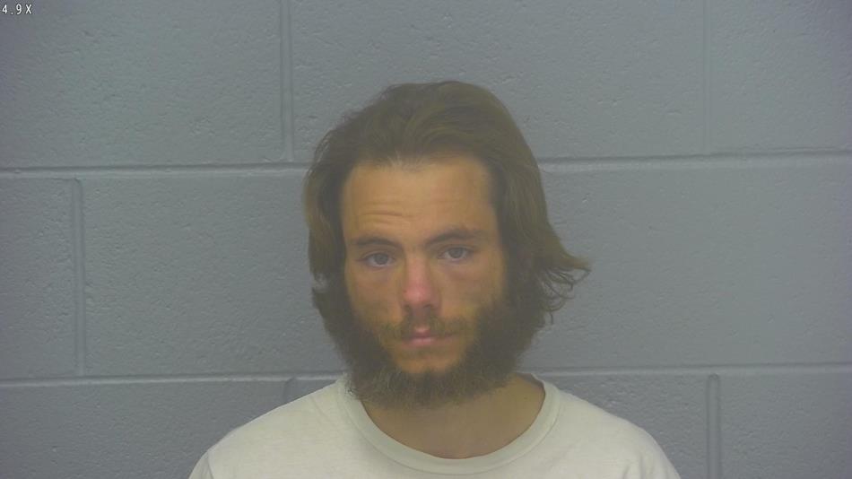 Arrest photo of NATHAN HARRISON