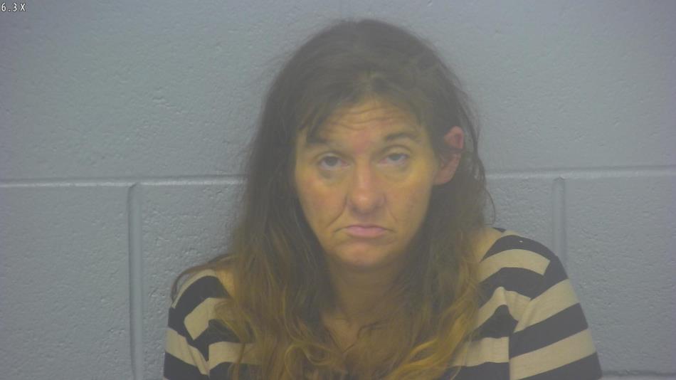 Arrest photo of NATOSHA ARD