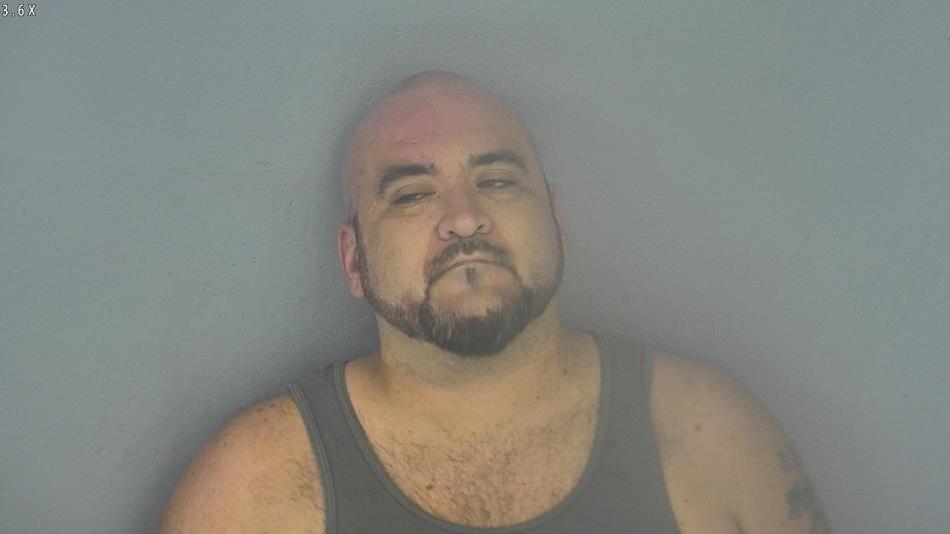 Arrest photo of NEIL NELSON